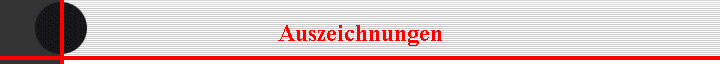 Auszeichnungen